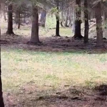 Апартаменты Im Spiss Макуньяга Экстерьер фото